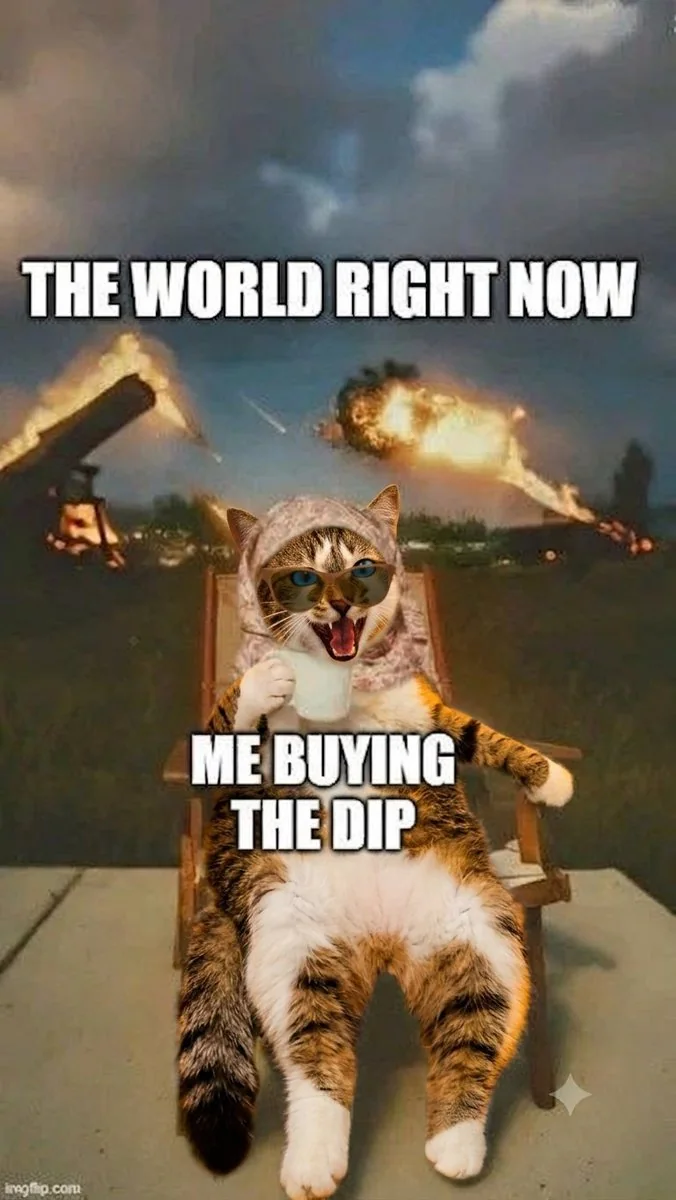 Buying the dip $MIAO meme