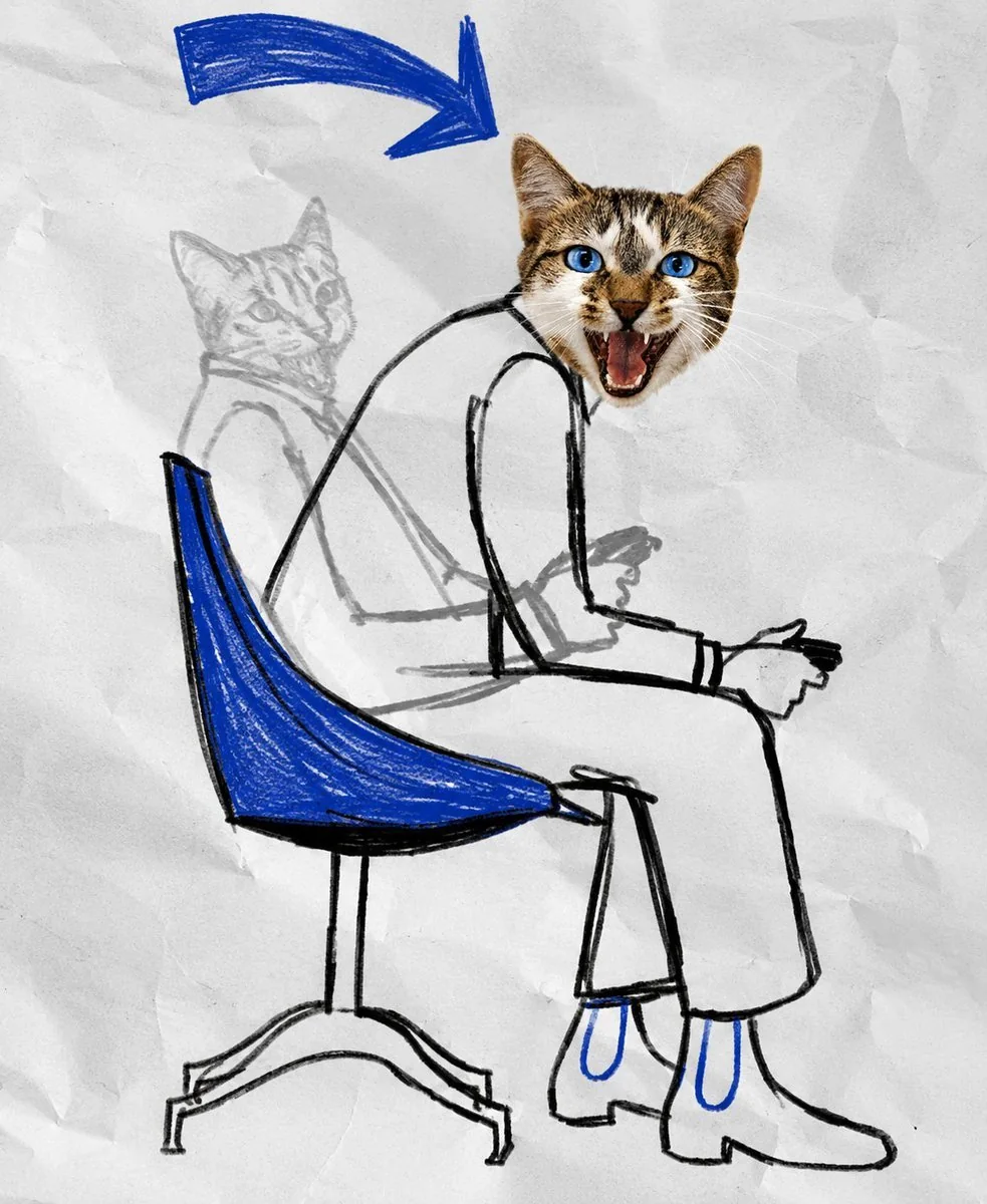 $MIAO sketch
